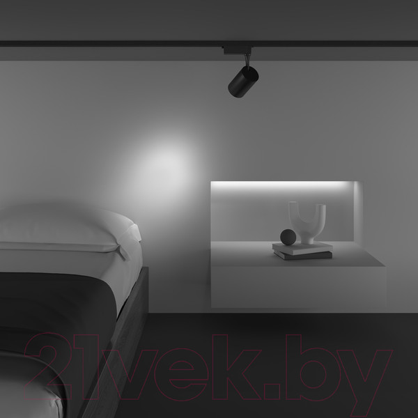 Изображение товара Трековый светильник Maytoni Vuoro TR003-1-10W3K-S-B