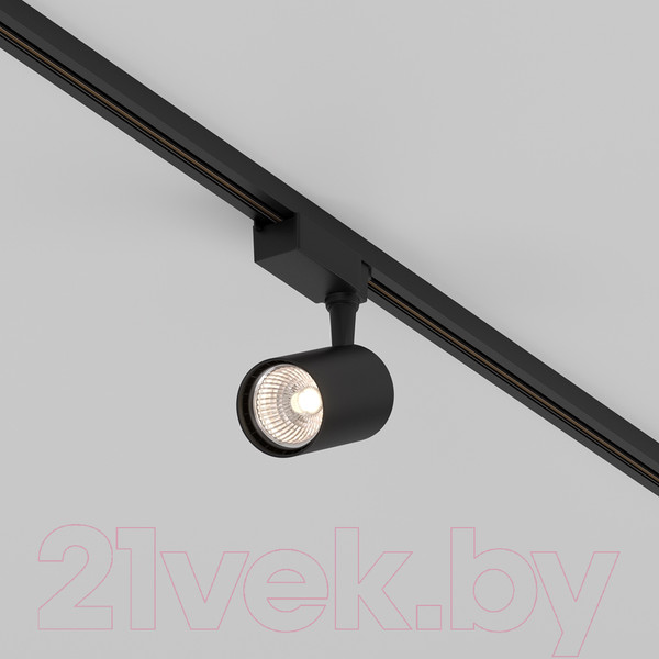 Изображение товара Трековый светильник Maytoni Vuoro TR003-1-10W3K-S-B