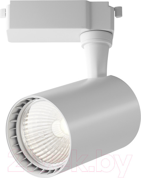 Изображение товара Трековый светильник Maytoni Vuoro TR003-1-10W4K-M-W