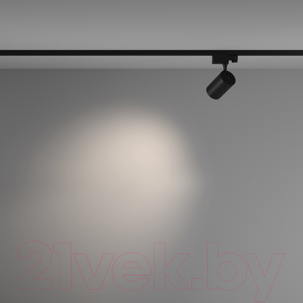 Изображение товара Трековый светильник Maytoni Vuoro TR029-3-10W4K-M-B