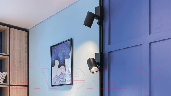 Изображение товара Трековый светильник Maytoni Vuoro TR029-3-10W4K-M-B