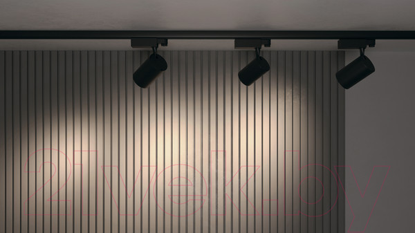 Изображение товара Трековый светильник Maytoni Vuoro TR029-3-10W4K-M-B