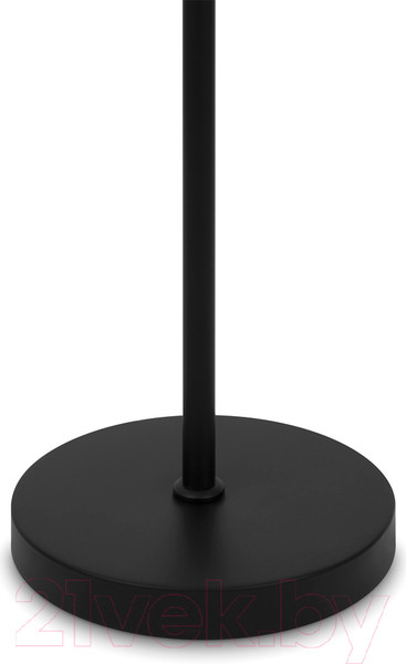 Изображение товара Торшер Maytoni Ring MOD013FL-01B
