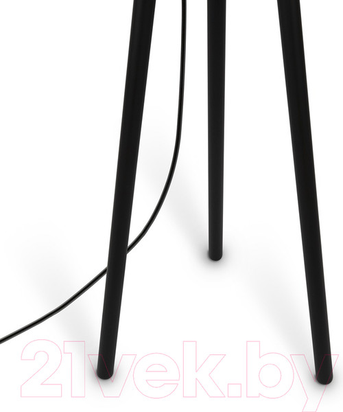 Изображение товара Торшер Maytoni Calvin Z177FL-01B