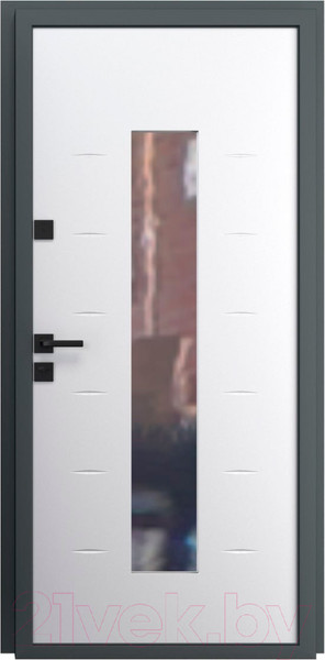 Изображение товара Входная дверь Guard Inox Black 96x205 левая (графит/экосатин белый)