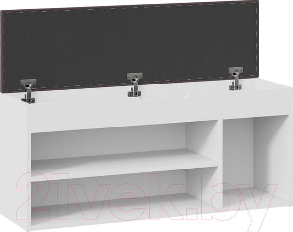 Изображение товара Тумба в прихожую ТриЯ Тип 12 (белый ясень/велюр серый)