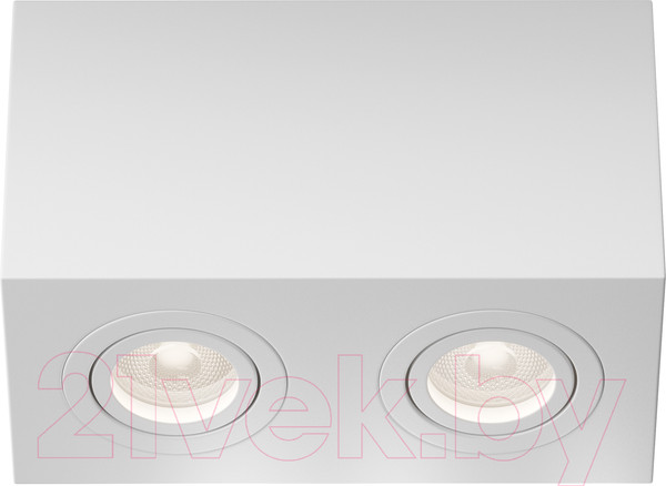 Изображение товара Потолочный светильник Maytoni Atom C017CL-02W