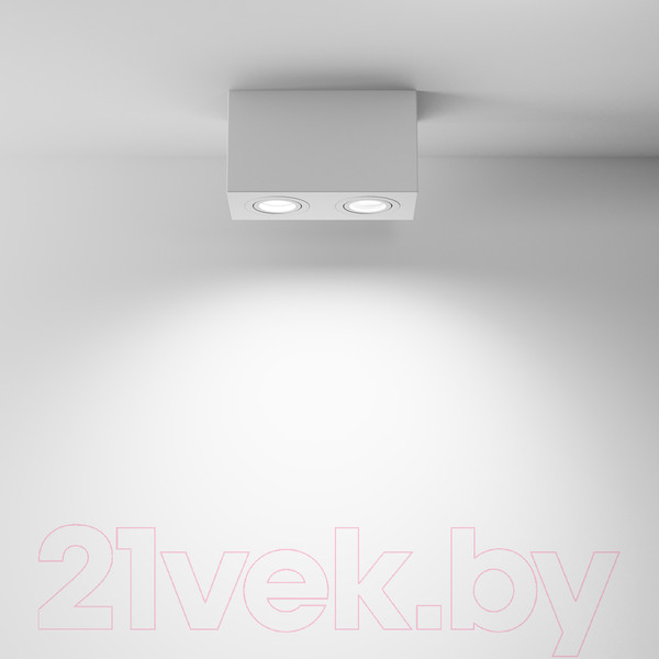 Изображение товара Потолочный светильник Maytoni Atom C017CL-02W