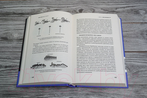 Изображение товара Книга АСТ Мозг слушает (Краус Н.)