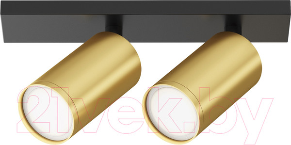 Изображение товара Спот Maytoni Focus S C051CL-U-02BMG