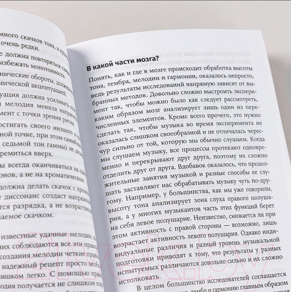 Изображение товара Книга Альпина Музыка и мозг: Как музыка влияет на эмоции, здоровье и интеллект (Бреан А., Скейе Г.У.)
