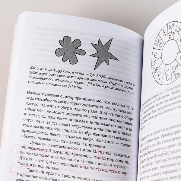 Изображение товара Книга Альпина Музыка и мозг: Как музыка влияет на эмоции, здоровье и интеллект (Бреан А., Скейе Г.У.)