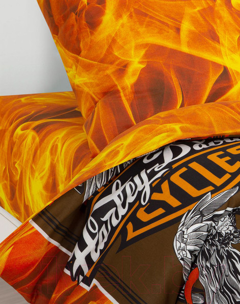 Изображение товара Комплект постельного белья АртПостель Байкер 912 1.5