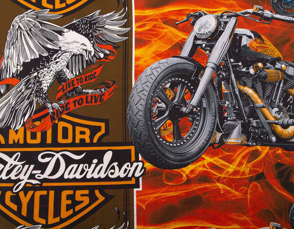 Изображение товара Комплект постельного белья АртПостель Байкер 912 1.5