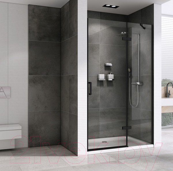 Изображение товара Душевая дверь Abber Zart AG08120B