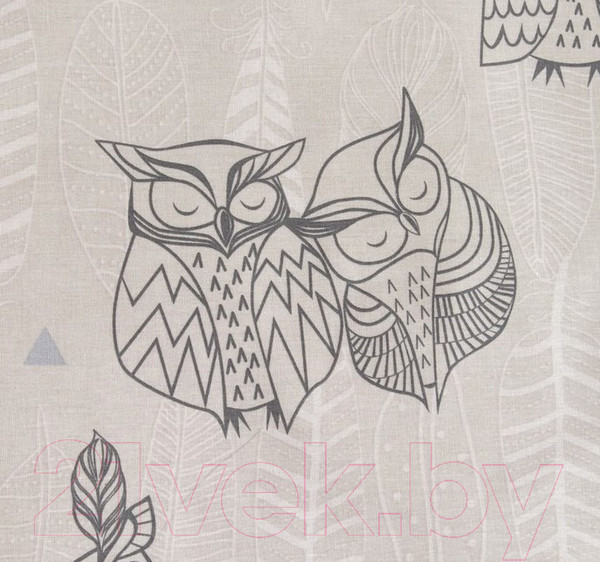 Изображение товара Комплект постельного белья Этель Ушастые совы / 3988362