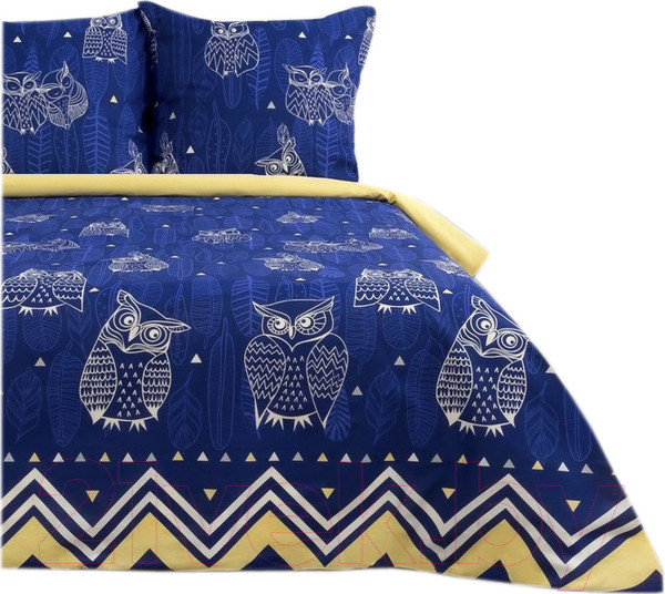 Изображение товара Комплект постельного белья Этель Ушастые совы / 3988366