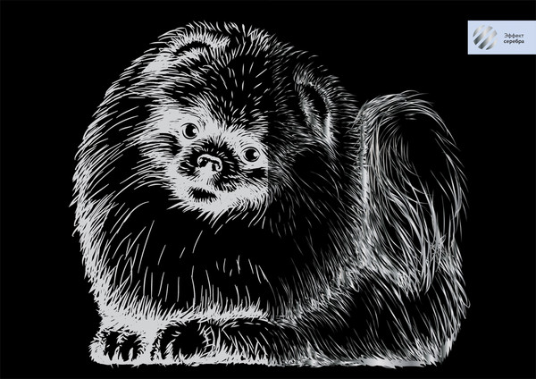 Изображение товара Гравюра Три совы Шпиц / GA4_48279