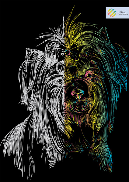 Изображение товара Гравюра Три совы Йорк / GA4_48291