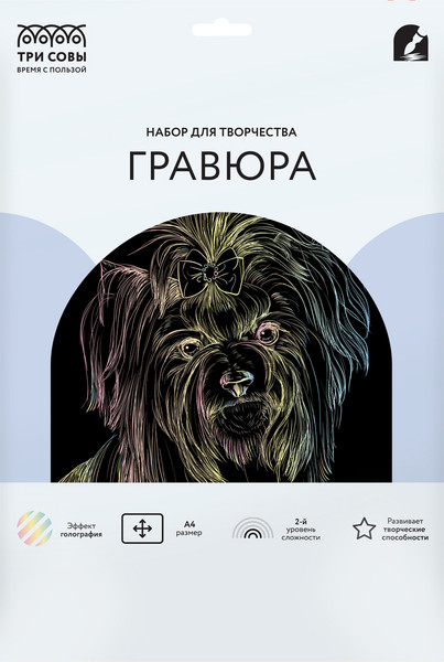 Изображение товара Гравюра Три совы Йорк / GA4_48291