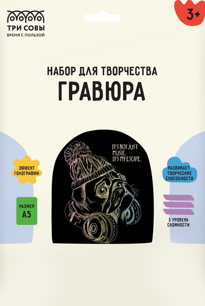 Изображение товара Гравюра Три совы Меломан / GA5_48300