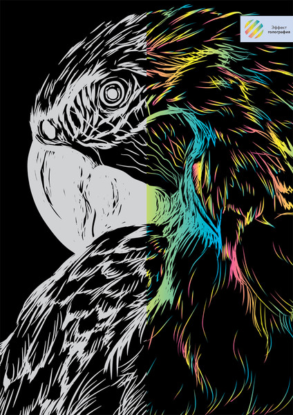 Изображение товара Гравюра Три совы Попугай / GA4_48294