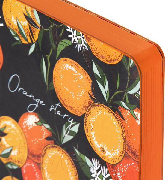Изображение товара Ежедневник Brauberg Orange Story / 112018