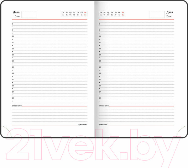 Изображение товара Ежедневник Brauberg Birds / 112021