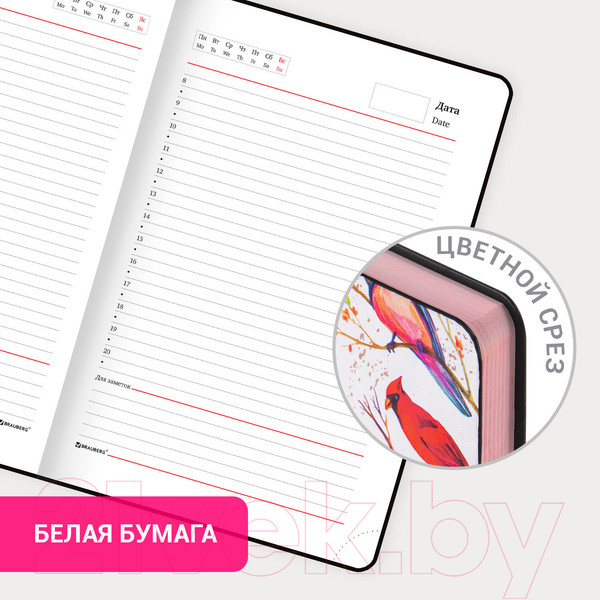 Изображение товара Ежедневник Brauberg Birds / 112021