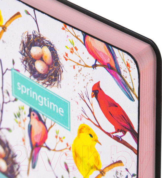 Изображение товара Ежедневник Brauberg Birds / 112021