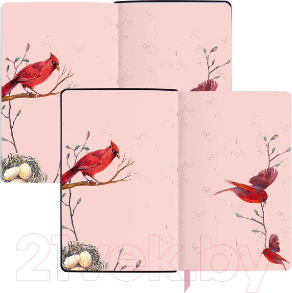 Изображение товара Ежедневник Brauberg Birds / 112021