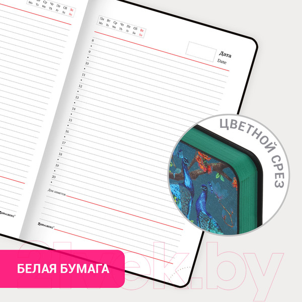Изображение товара Ежедневник Brauberg Peacocks / 112032