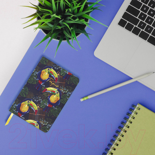 Изображение товара Ежедневник Brauberg Toucan Tropics / 112114