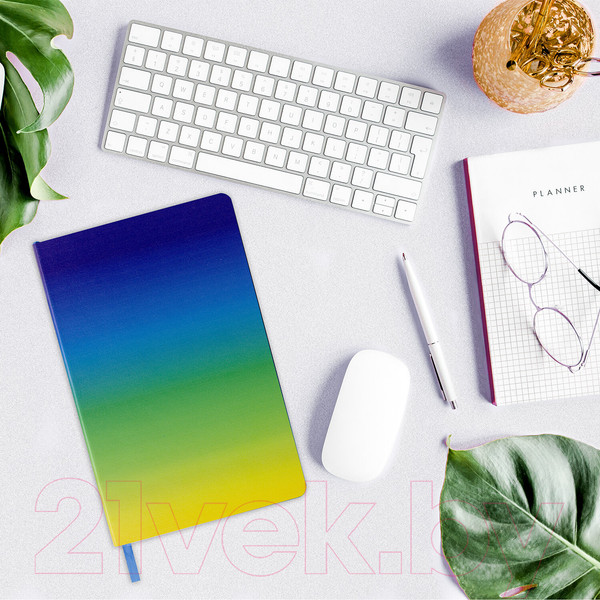 Изображение товара Ежедневник Brauberg Grade / 114460 (синий/зеленый)