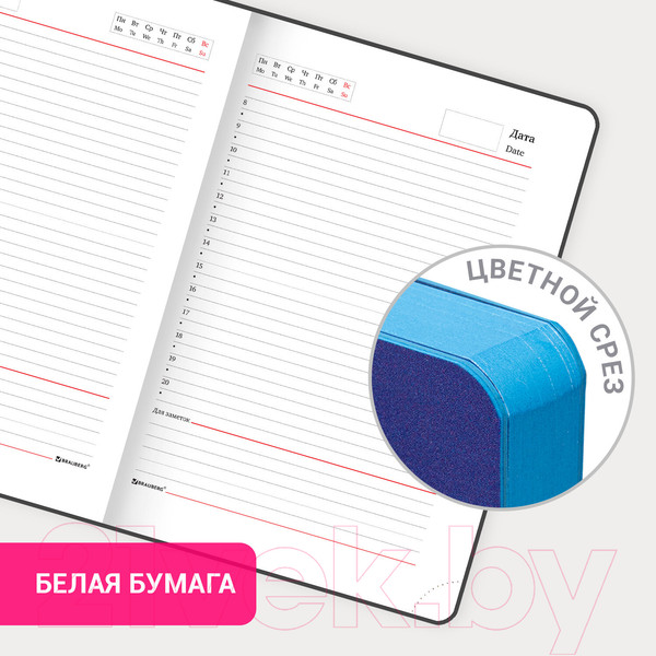 Изображение товара Ежедневник Brauberg Grade / 114460 (синий/зеленый)