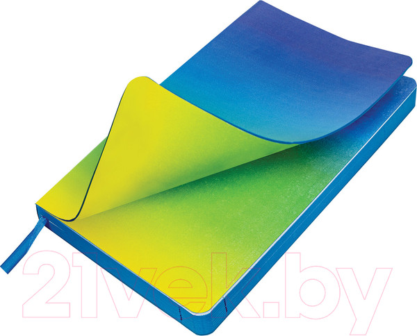 Изображение товара Ежедневник Brauberg Grade / 114460 (синий/зеленый)