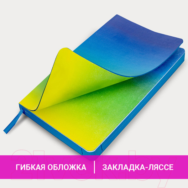 Изображение товара Ежедневник Brauberg Grade / 114460 (синий/зеленый)