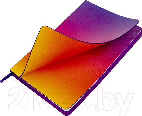 Изображение товара Ежедневник Brauberg Grade / 114462 (фиолетовый/желтый)