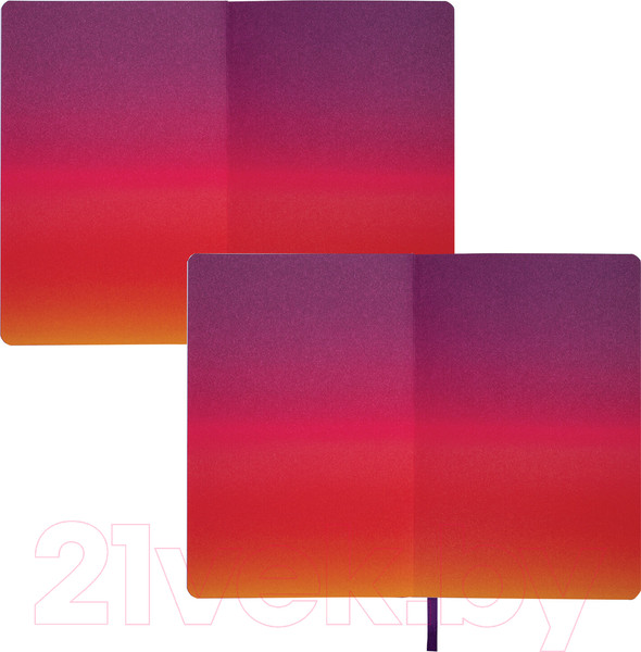 Изображение товара Ежедневник Brauberg Grade / 114462 (фиолетовый/желтый)