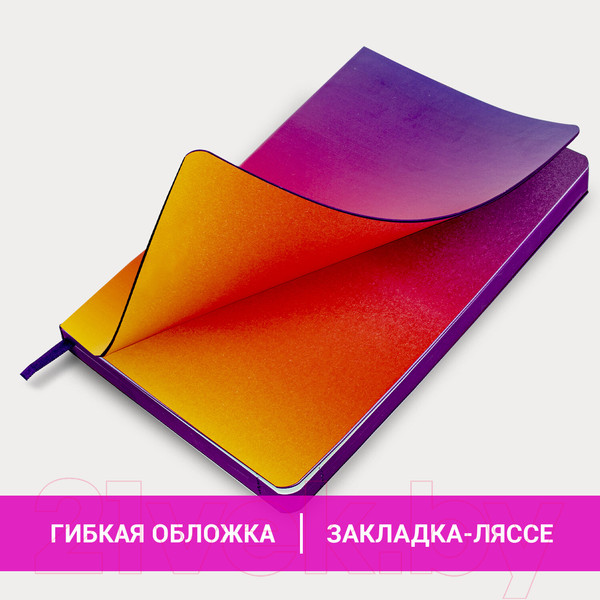 Изображение товара Ежедневник Brauberg Grade / 114462 (фиолетовый/желтый)