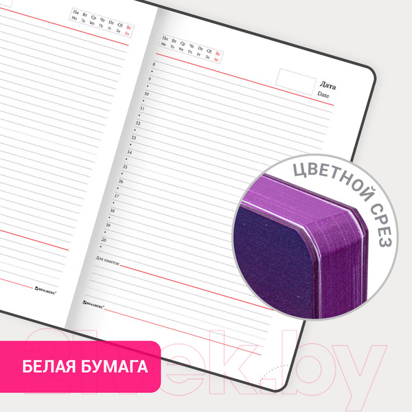 Изображение товара Ежедневник Brauberg Grade / 114462 (фиолетовый/желтый)