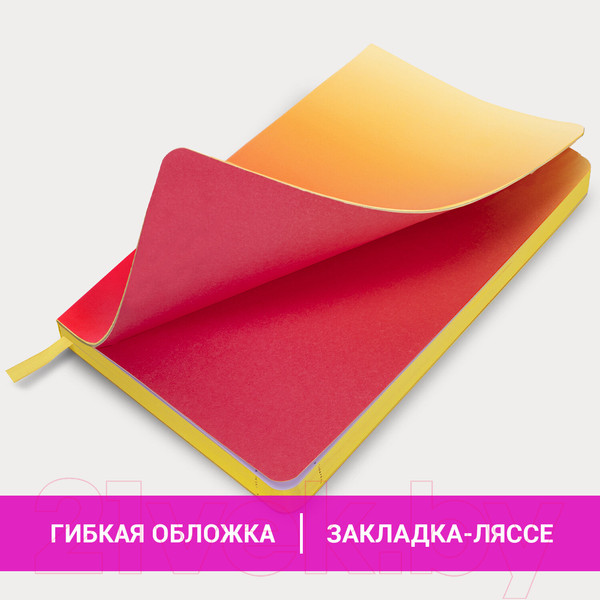 Изображение товара Ежедневник Brauberg Grade / 114463 (малиновый/желтый)