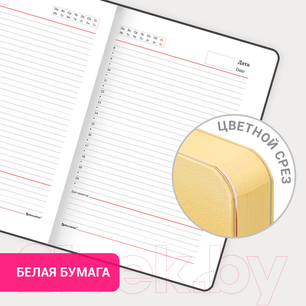 Изображение товара Ежедневник Brauberg Grade / 114463 (малиновый/желтый)