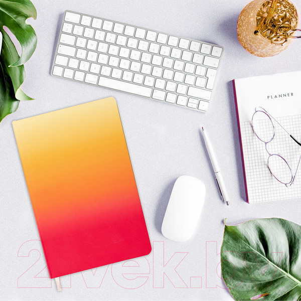 Изображение товара Ежедневник Brauberg Grade / 114463 (малиновый/желтый)