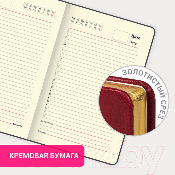 Изображение товара Ежедневник Brauberg Iguana / 114468 (красный)