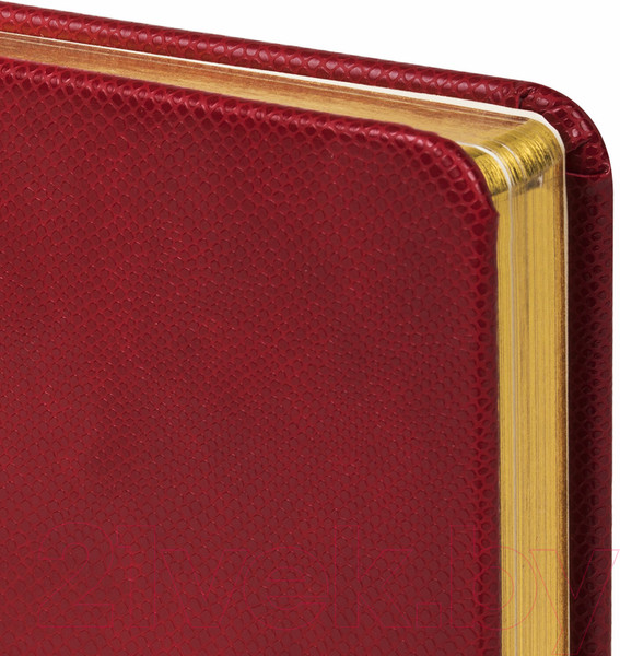 Изображение товара Ежедневник Brauberg Iguana / 114468 (красный)