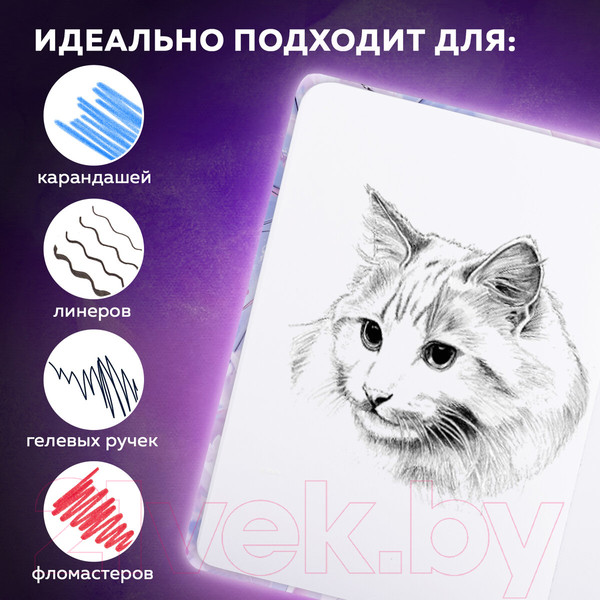 Изображение товара Скетчбук Brauberg Art Debut Аниме / 114578 (80л)