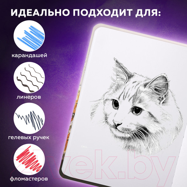 Изображение товара Скетчбук Brauberg Art Debut Тигр / 114580 (80л)