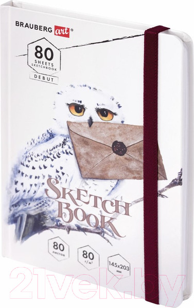 Изображение товара Скетчбук Brauberg Art Debut Хогвартс / 114581 (80л)