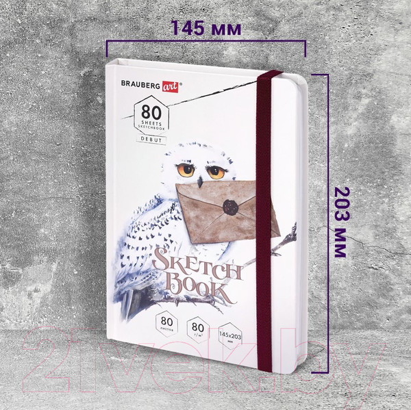Изображение товара Скетчбук Brauberg Art Debut Хогвартс / 114581 (80л)